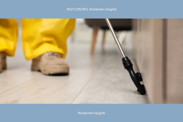 PEST CONTROL Pemberton Heights